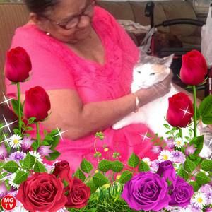 Meet your Posher, Pamela